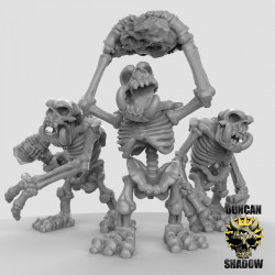 Duncan Shadow - Skeleton Stone Troll   (2)