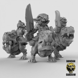 Duncan Shadow - Goblin Hound Riders   (2)