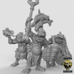 Duncan Shadow - Koa Toa Fish folk Etat major  (2)