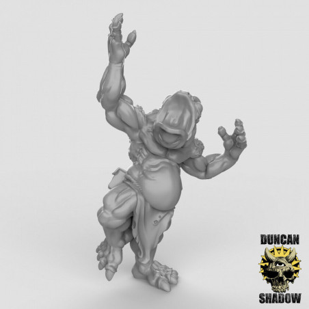Figurines Anthropomorphes Duncan Shadow – Impression 3D pour Wargames et Jeux de Rôle
