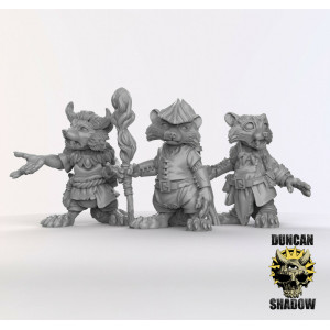 Impression 3D figurines jeux de rôle D&D, Saga, 9th Age, Racoon Folk Druids