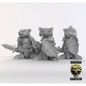 Impression 3D figurines jeux de rôle D&D, Saga, 9th Age, Racoon Folk Knights