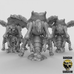  Duncan Shadow - Plague fly's   (2)