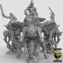  Duncan Shadow - Plague Demon riding Fly   (2)