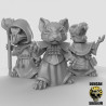 Figurines Anthropomorphes Duncan Shadow – Impression 3D pour Wargames et Jeux de Rôle
