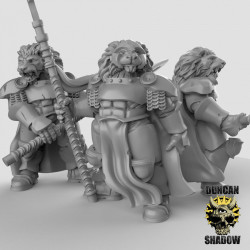 Duncan Shadow - Lion Knights   (2)