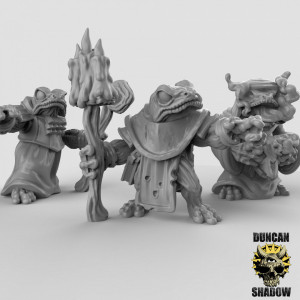 Impression 3D figurines jeux de rôle D&D, Saga, 9th Age, Boggard Necromancers