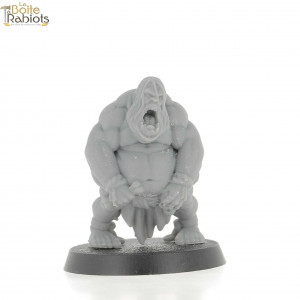 3D figurine 28mm Jeux de Rôle/9th age/Cthulu-Goule-Aggroth