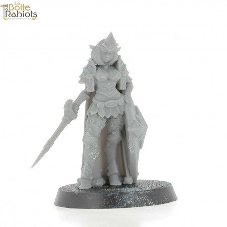 3D figurine 28mm Jeux de Rôle/9th age/Cthulu-Guerrière bouclier 1