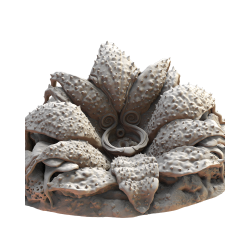 Décors Fantasy – The Lost Kingdom Miniatures pour Wargames 28/32mm