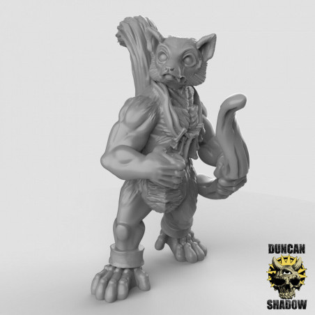 Figurines Anthropomorphes Duncan Shadow – Impression 3D pour Wargames et Jeux de Rôle
