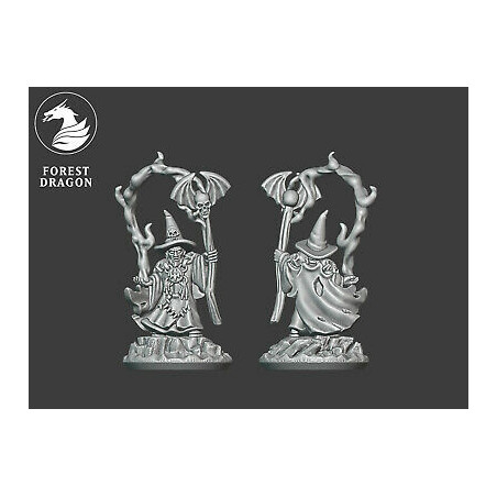 Forest Dragonimpréssion 3d--Undead- Nécromancien chapeau pointu  Echelle 15mm