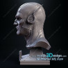 Buste flash impression 3D résine  18cm  (non peint)