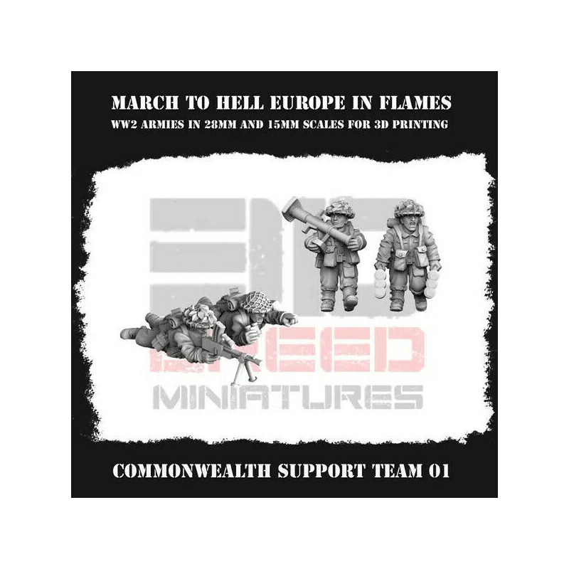 Commonwealth support Team