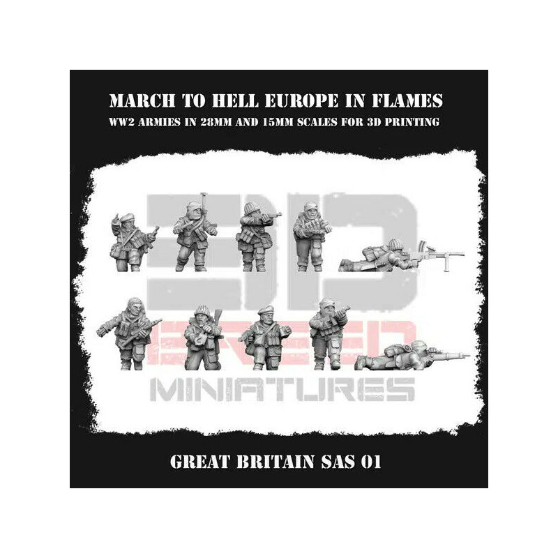 Commonwealth SAS commandos