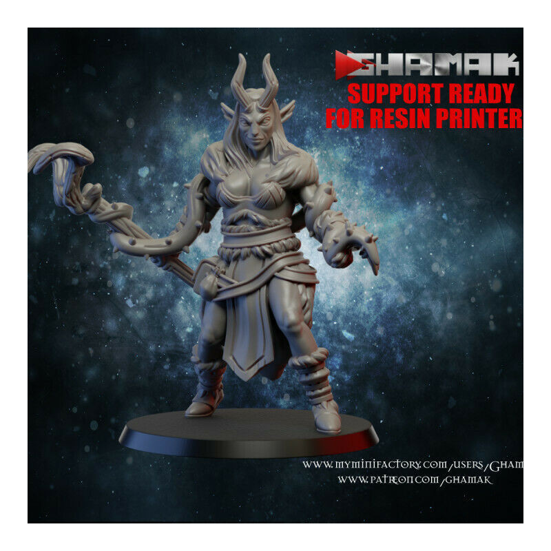 Figurines Elfes Ghamak – Grâce, Précision et Puissance Magique

