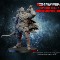 Ghamak-  Archer elfe sylvestre   (2)