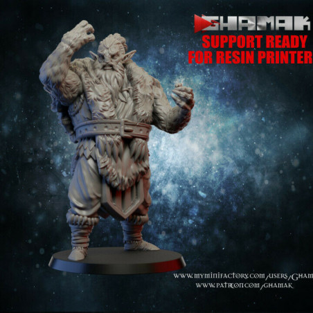 Figurines Elfes Ghamak – Grâce, Précision et Puissance Magique


