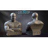 Bust Vin diesel impression 3D  Résine taille 18cm  (non peint)