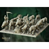 Higlands Miniature-Transilvanya Direwolves unit