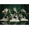 Higlands Miniature-Transilvanya Direwolves unit