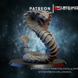 Ghamak-Desert Snake 2   (2)