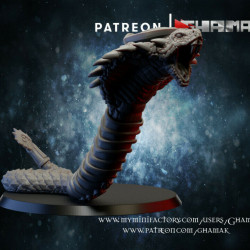 Ghamak-Desert Snake 1   (2)