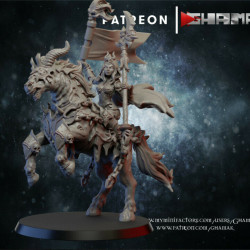 Ghamak-Cavaliere elfe noir 2   (2)