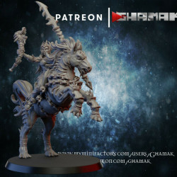 Ghamak - Cavaliere elfe noir 3   (2)