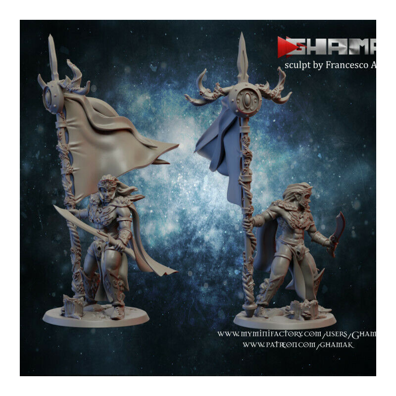 Figurines Elfes Ghamak – Grâce, Précision et Puissance Magique

