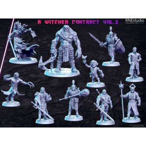 Impression 3D Figurines RN Studio A witcher contract Vol.3