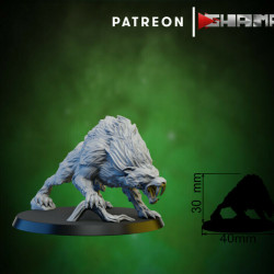 Ghamak- Dent de sabre 2   (2)