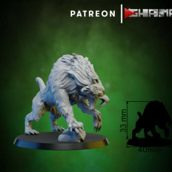 Ghamak- Dent de sabre 3   (2)
