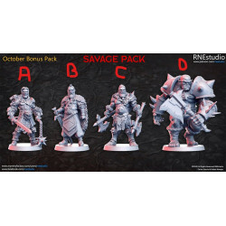 Impression 3D Figurines RN Studio, Savage pack