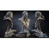 Buste Witcher impression 3D resine, taille 18cm ( non peint ) (non peint)