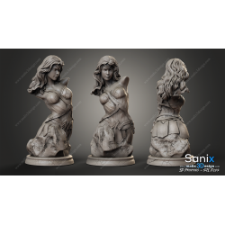 Buste Wonder woman impression 3D resine, taille 18cm ( non peint ) (non peint) (2)