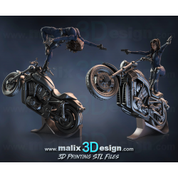 Agent of S.H.I.E.L.D impression 3D résine  18cm (non peint)