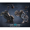Agent of S.H.I.E.L.D impression 3D résine  18cm (non peint)