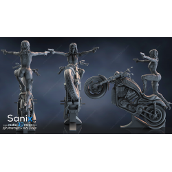 Agent of S.H.I.E.L.D impression 3D résine  18cm (non peint) (2)