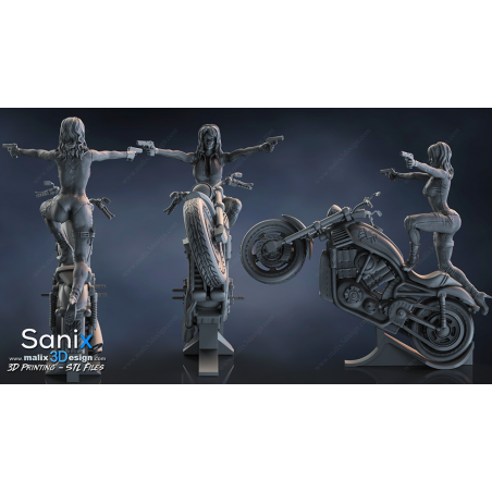 Agent of S.H.I.E.L.D impression 3D résine  18cm (non peint)