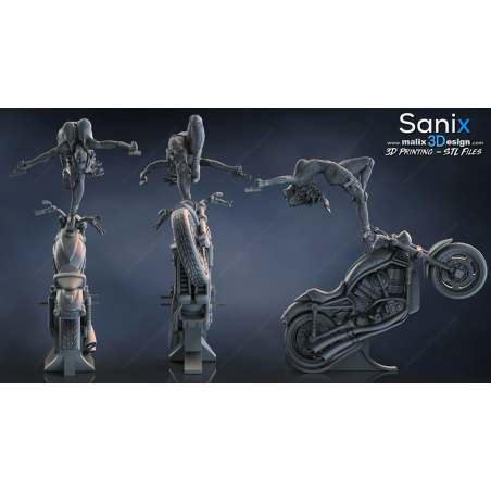 Agent of S.H.I.E.L.D impression 3D résine  18cm (non peint)