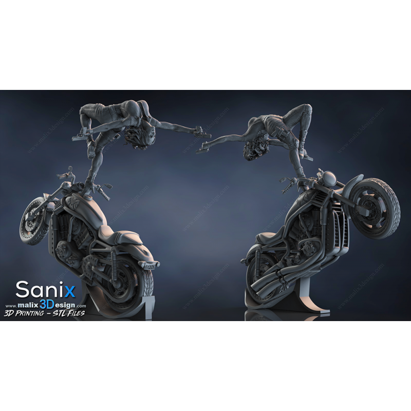 Agent of S.H.I.E.L.D impression 3D résine  18cm (non peint)