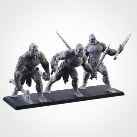 Txarly Factory - Miniatures Innovantes pour Jeux de Rôle et Wargames