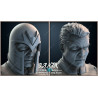 Buste Magneto impression 3D resine, taille 18cm ( non peint ) (non peint)