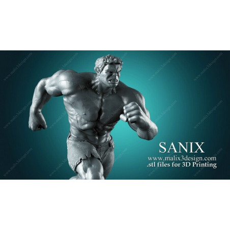 Huk impression 3D résine taille 18cm ( non peint ) (non peint)