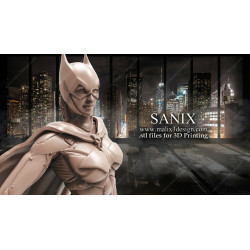 Batgirl impression 3D résine taille 18cm ( non peint ) (non peint)