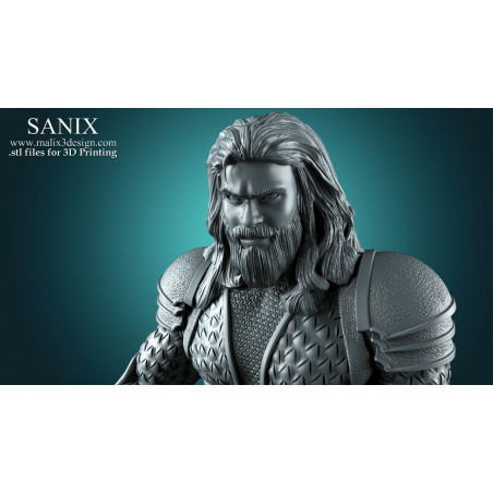 Aquaman figurine impression 3D résine  18cm  (non peint)