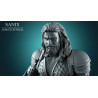 Aquaman figurine impression 3D résine  18cm  (non peint)
