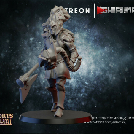 Figurines Elfes Ghamak – Grâce, Précision et Puissance Magique

