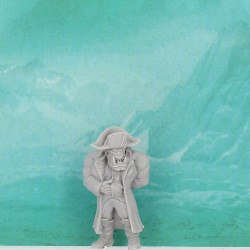 Ghamak-Napoléork   (2)
